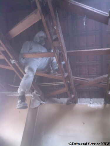 Renovierung Dachstuhl